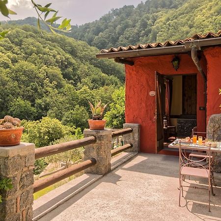 Agriturismo Pera Di Basso 카사밋쵸라테르메 외부 사진