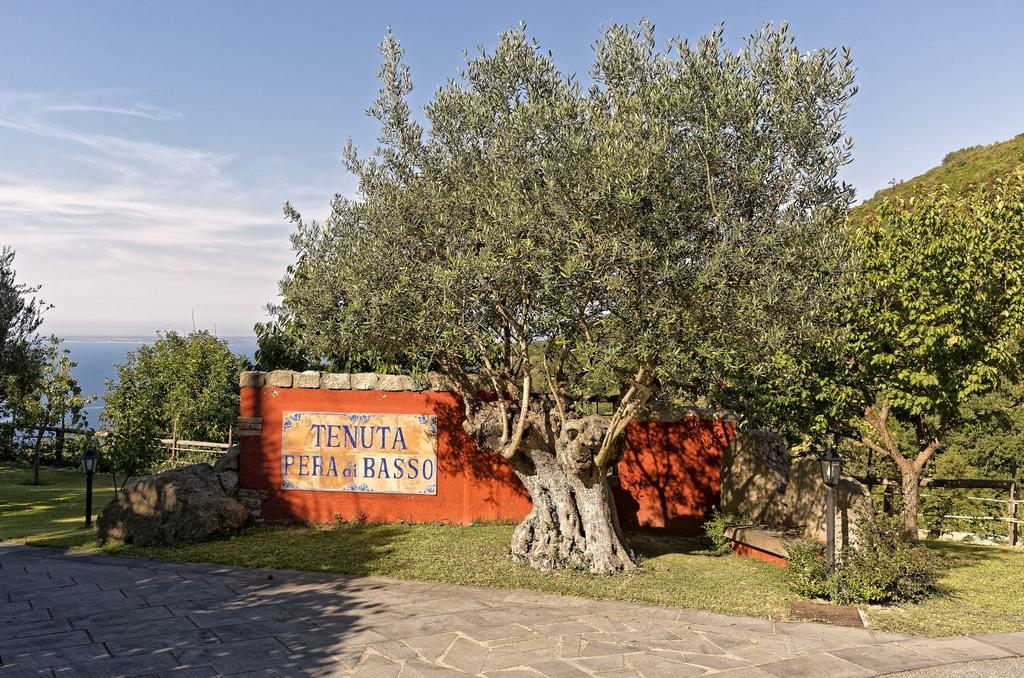 Agriturismo Pera Di Basso 카사밋쵸라테르메 외부 사진